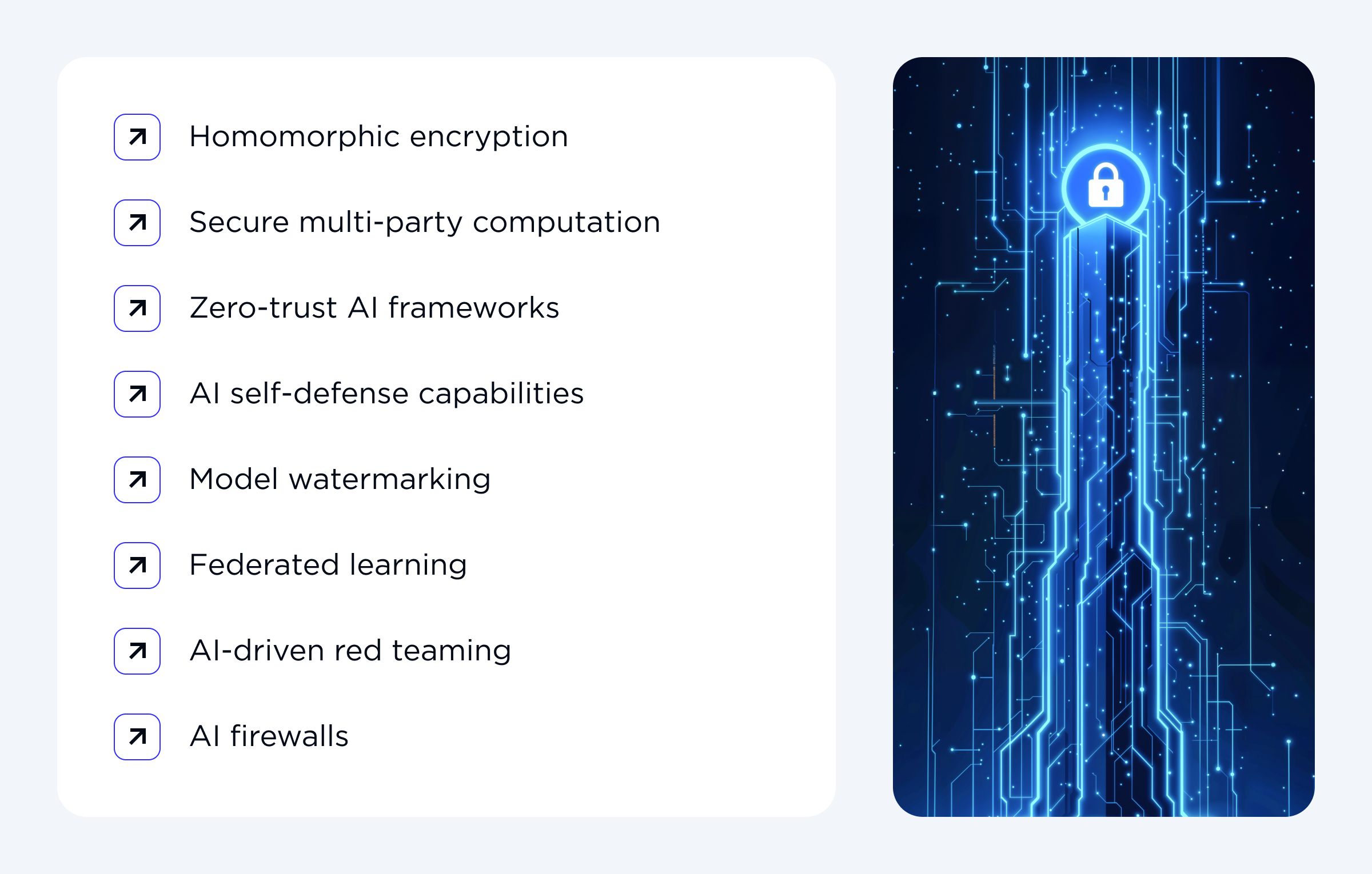 The Future of AI Security